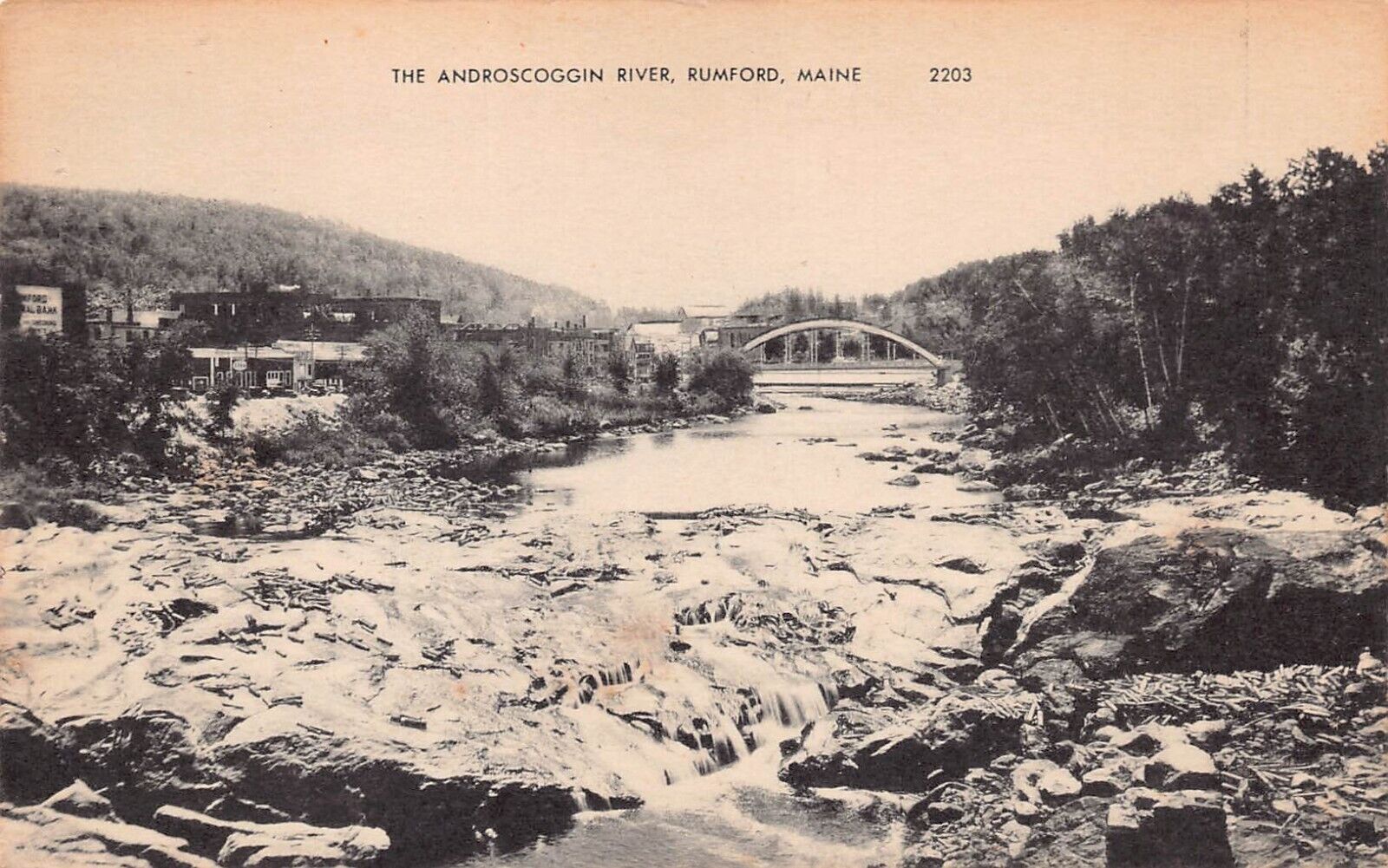 Rumford Falls ME Maine Pennacook Waterfalls Mill Early 1900s Vtg Postcard C62