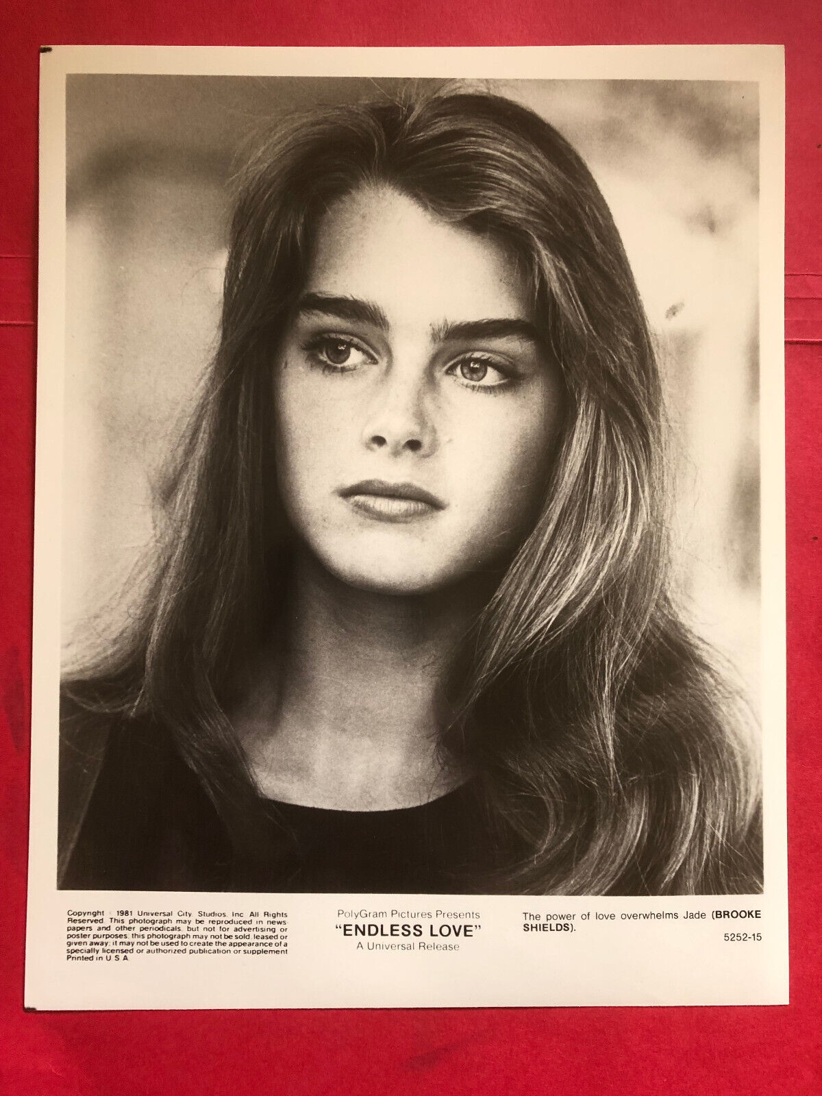 Brooke Shields in Endless Love , original vintage press headshot photo