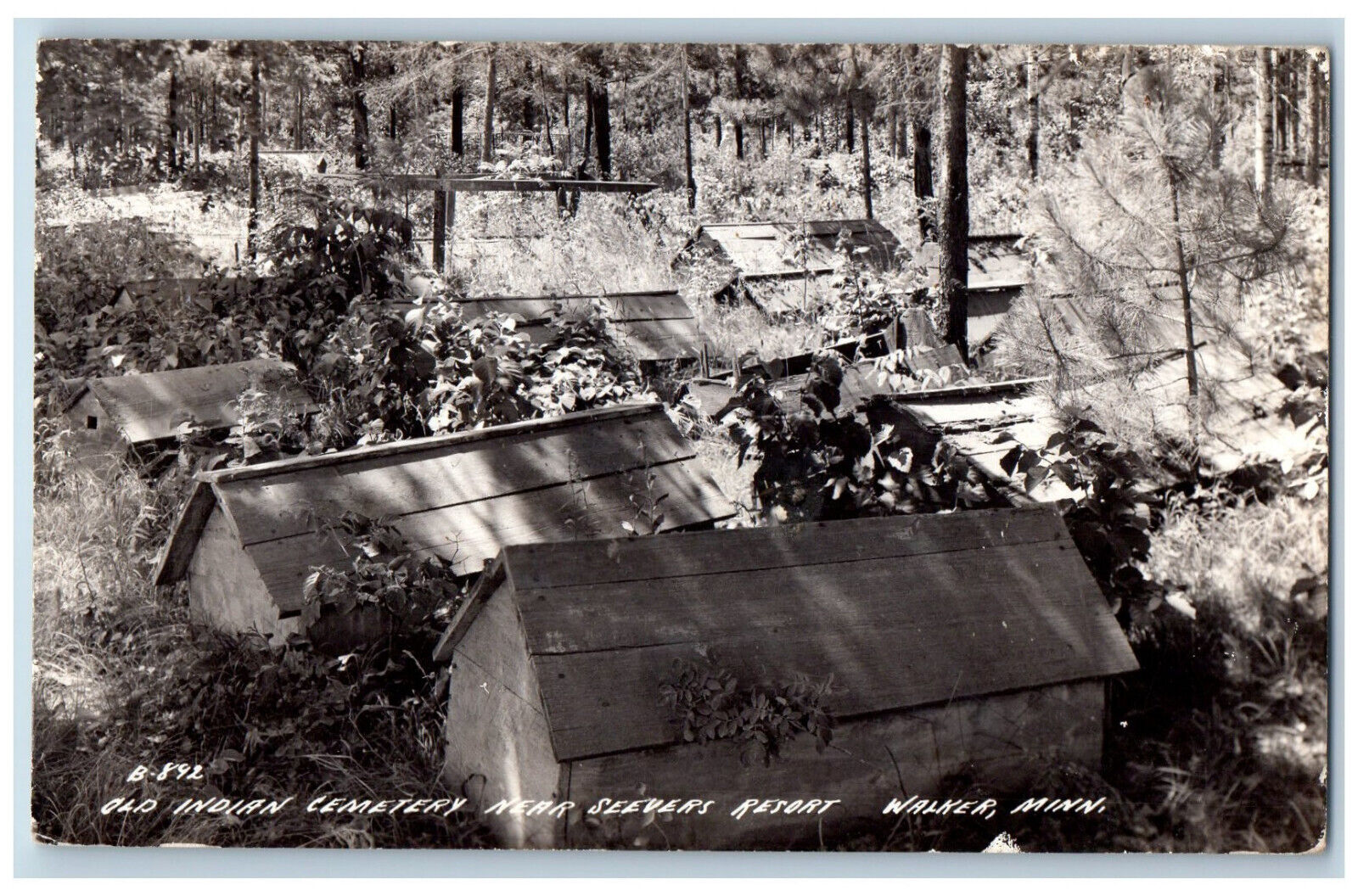 Walker MN Postcard Old Indian Cemetery Near Seevers Resort c1940's RPPC Photo