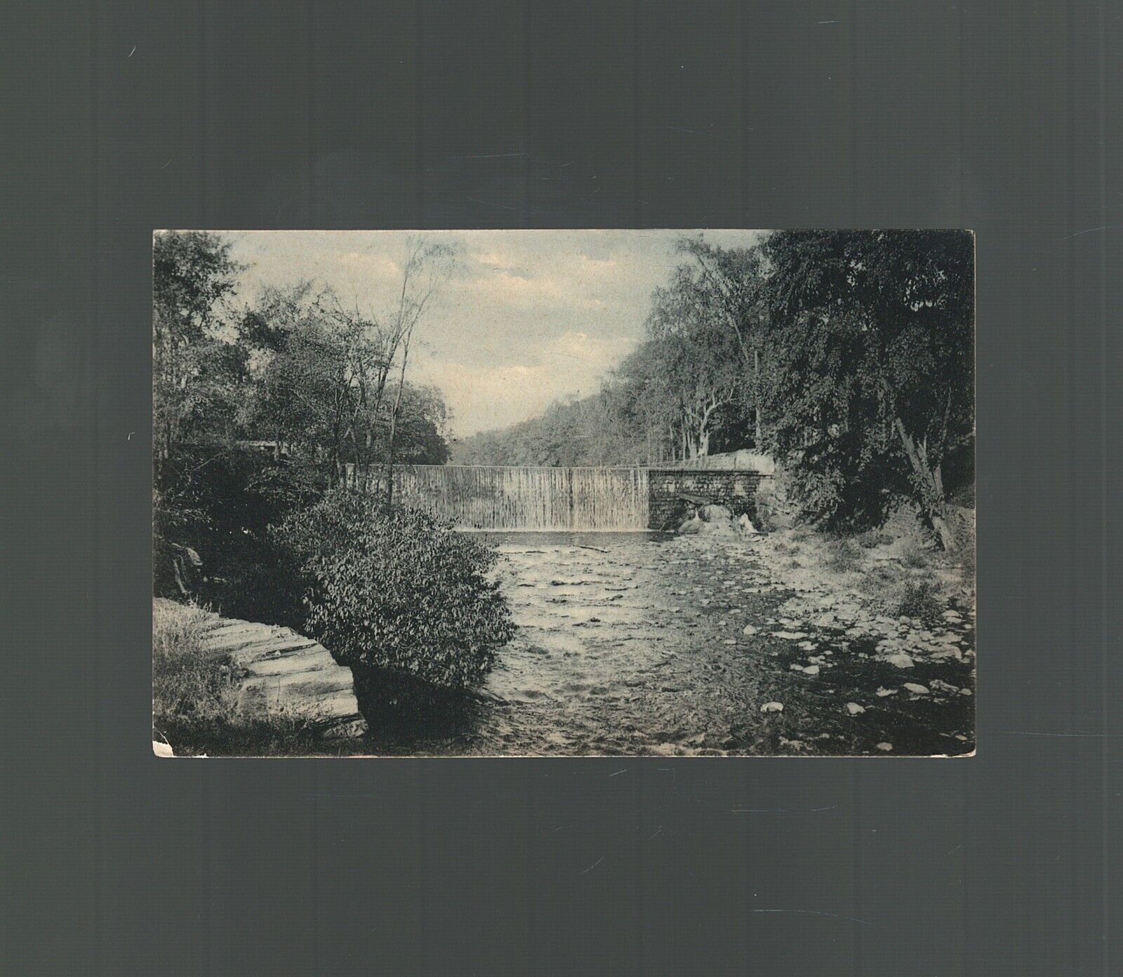 Postcard The Bronx River Falls Bronx Park New York City 1902