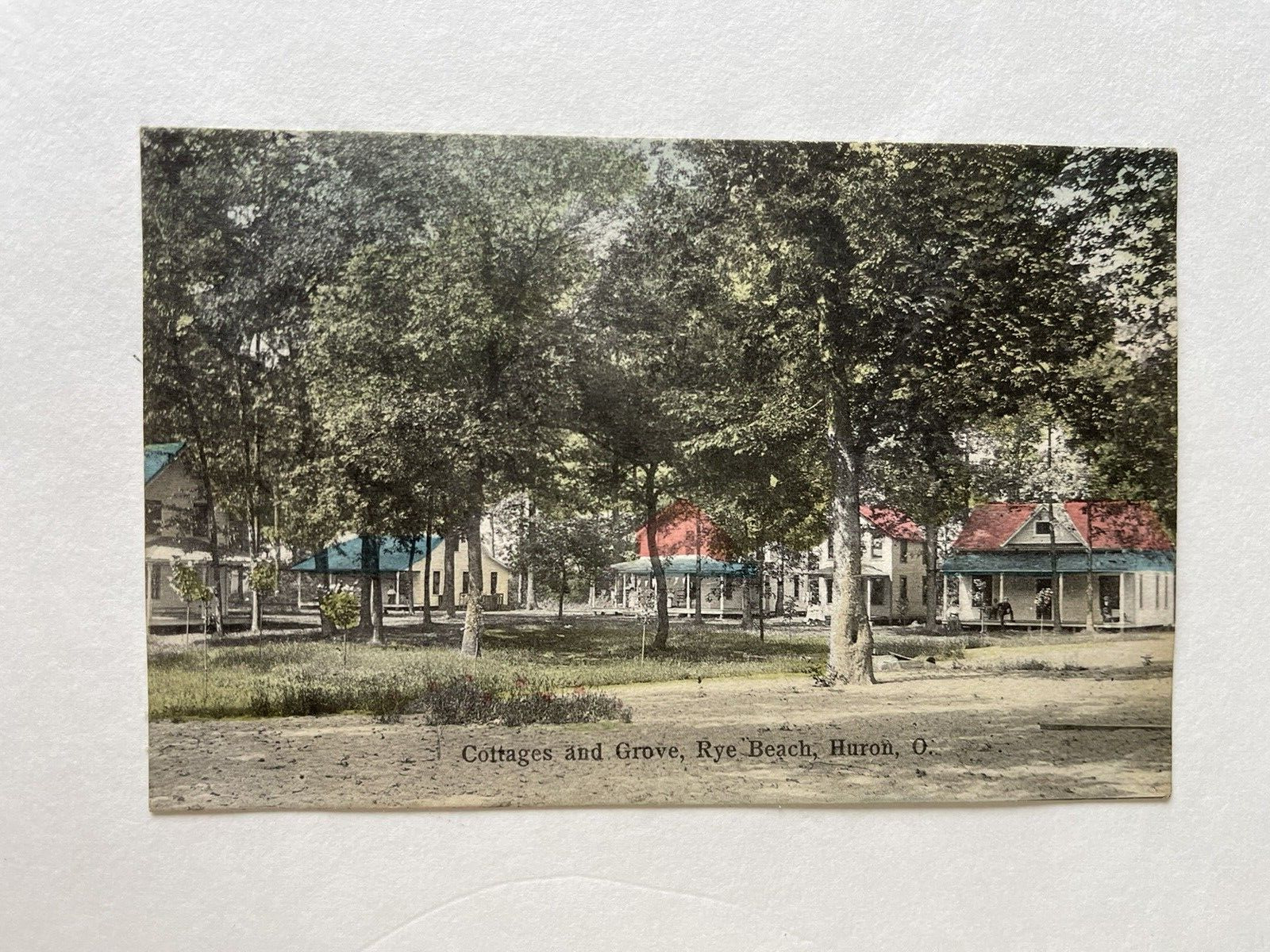 1907 Antique Vintage Postcard #11910 COTTAGES & GROVE Rye Beach Huron OH Germany