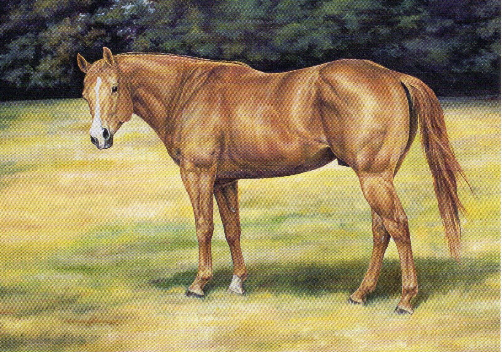 DEL RIO JOE DUDE Quarter Horse Postcard Art by Lachelle Currin 4.25 x 6