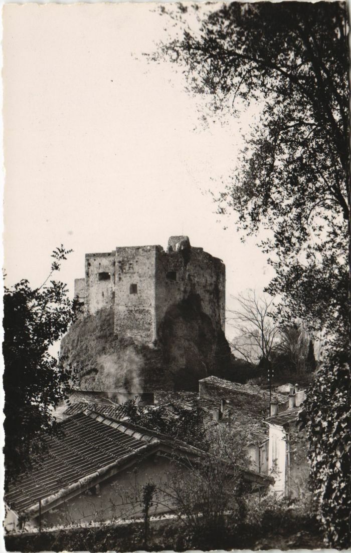 CPA ROQUEBRUNE-sur-ARGENS ROQUEBRUNE-VILLAGE - Le Vieux Chateau-Fort (1110654)