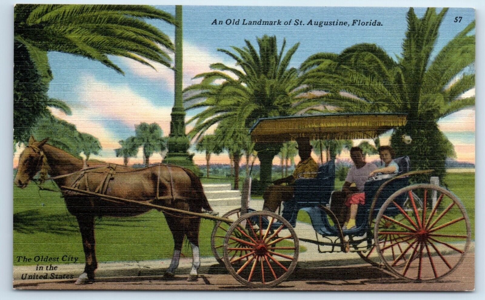 Postcard An Old Landmark of St Augustine, Florida linen carriage horse F113