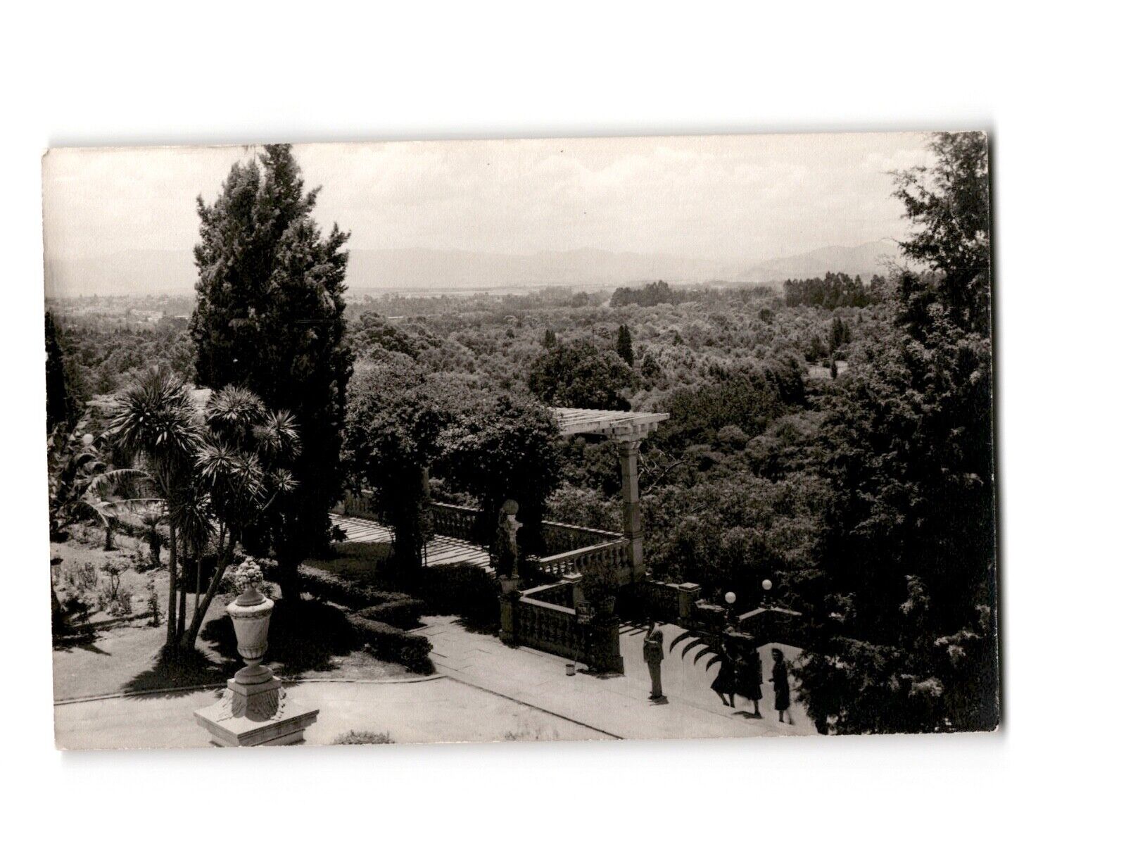 Vintage Scenic Garden Postcard - Early 20th Century Black & White Panorama