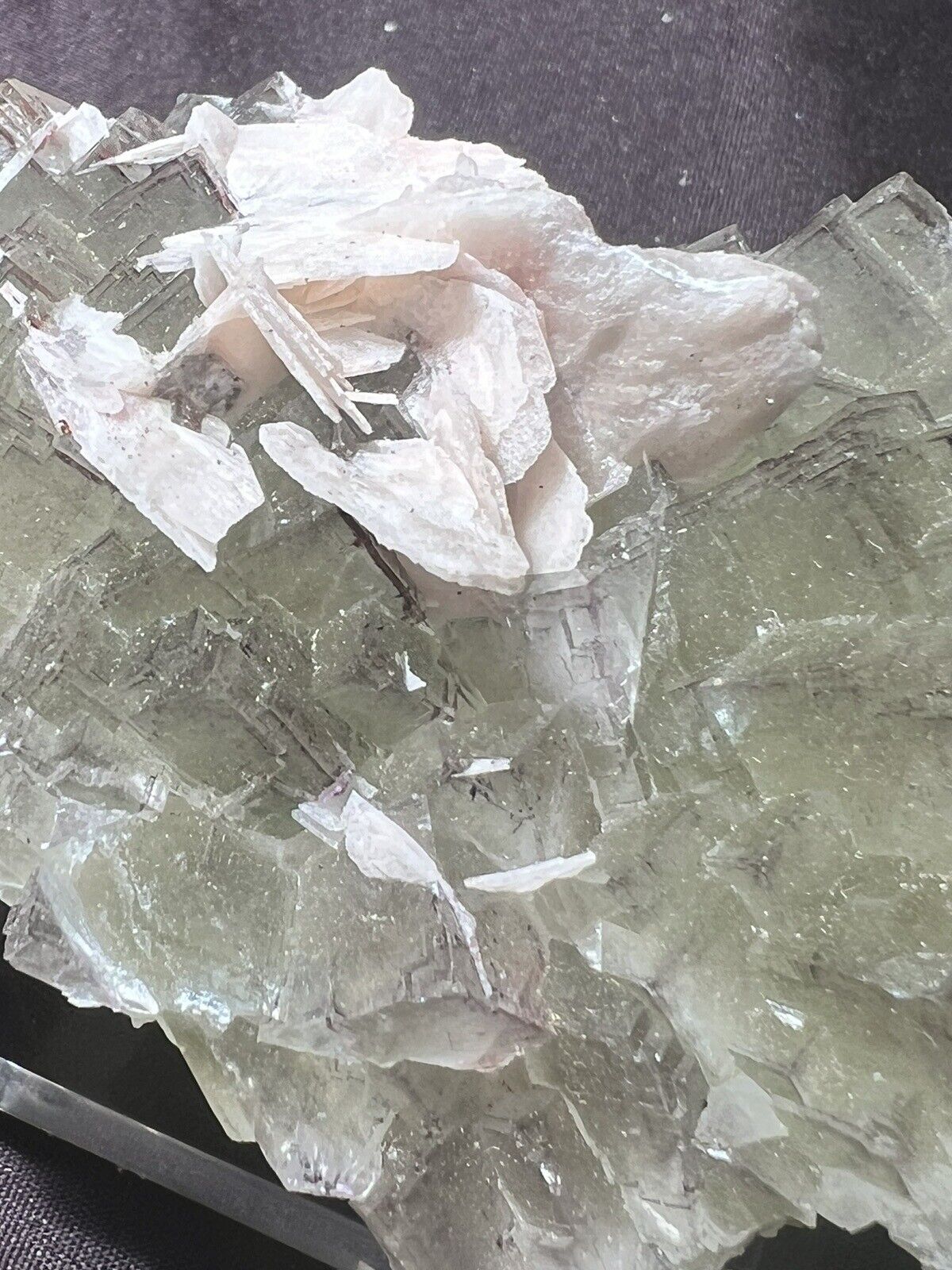 Baryte On Fluorite Crystals: Cäcilia Mine. Wolsendorf. Bavaria, Germany