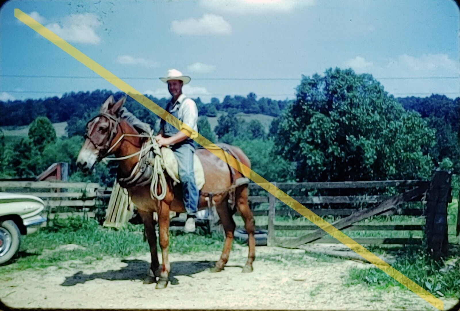 Vintage June 1963 35mm Slide Man on Horse Horseback Riding Cowboy Hat #22107