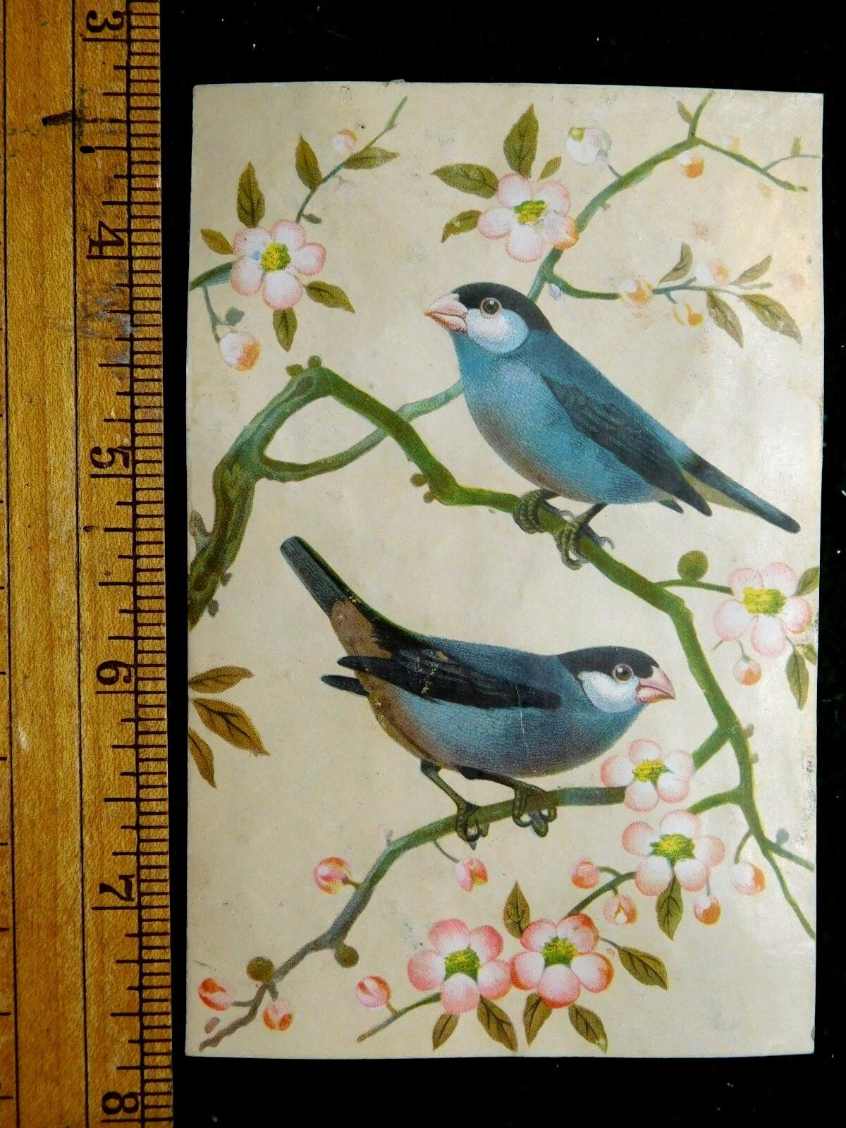 1870s-80s Lovely Pair Wild Birds In Cherry Blossom Branches Victorian Card F24