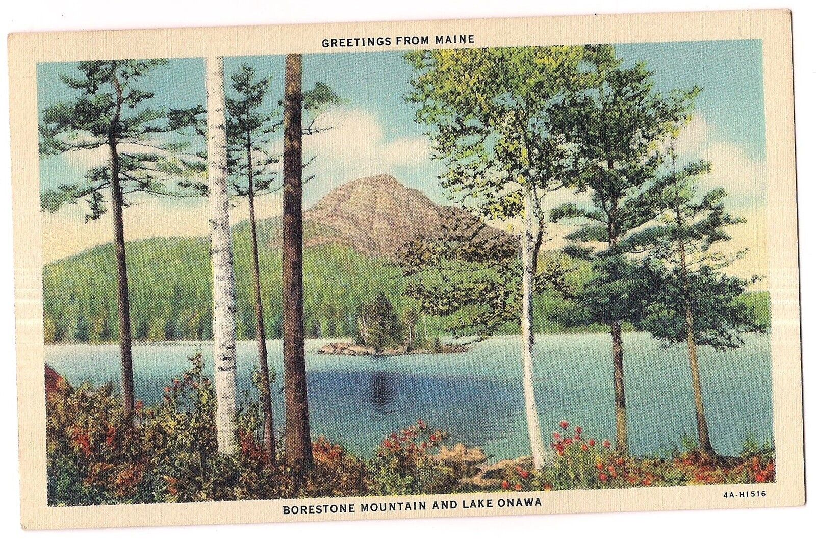 BORESTONE MOUNTAIN LAKE ONNWA Piscataquis Audubon Sanctuary Postcard ME Linen