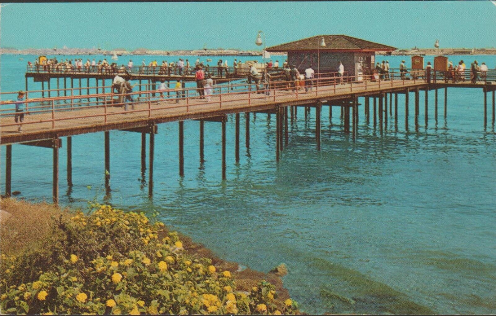 San Diego California Shelter Island Fishing Pier UNP Chrome Postcard
