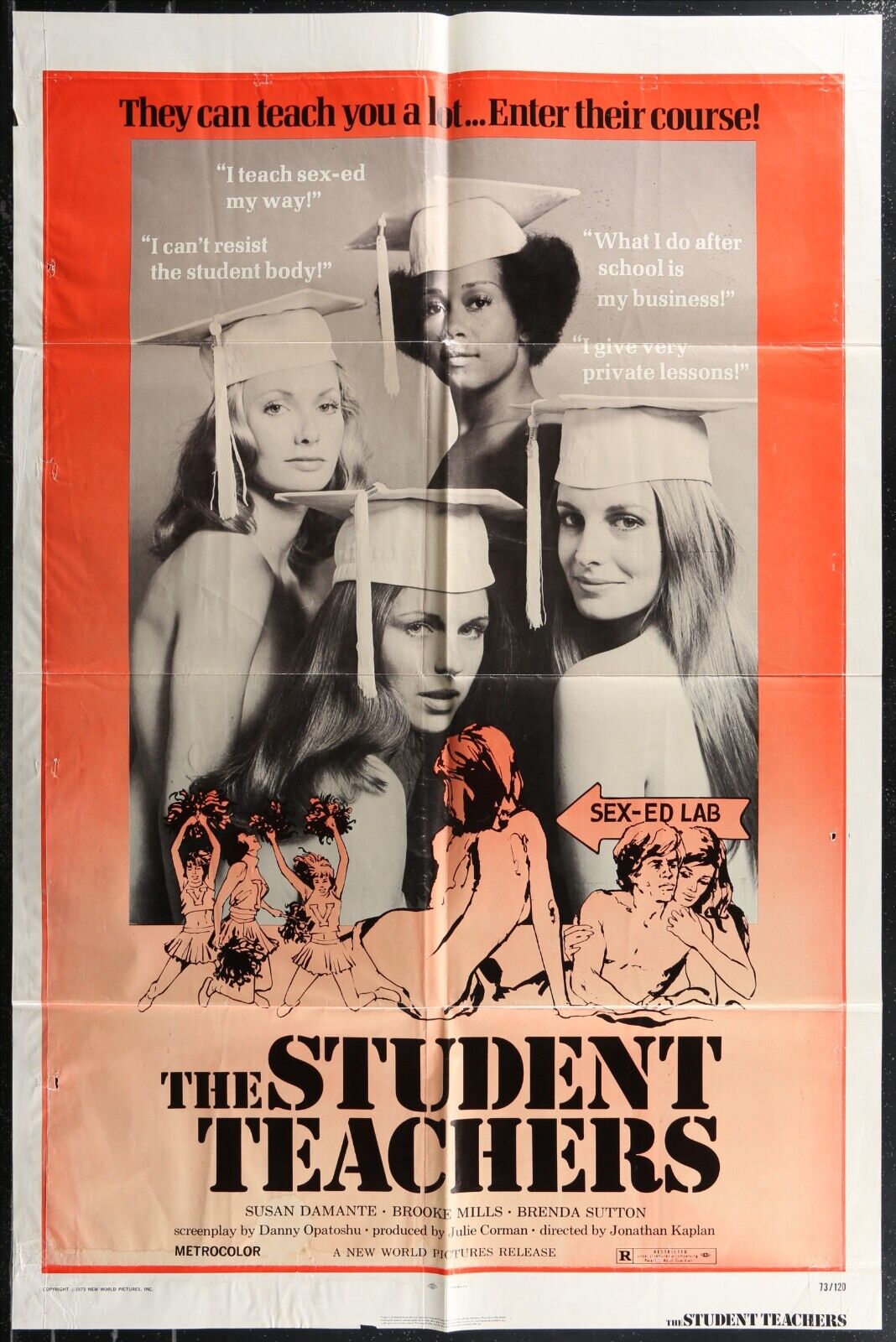 THE STUDENT TEACHERS Sexploitation ORIG  1973  1-SHEET MOVIE POSTER 27 x 41  ^