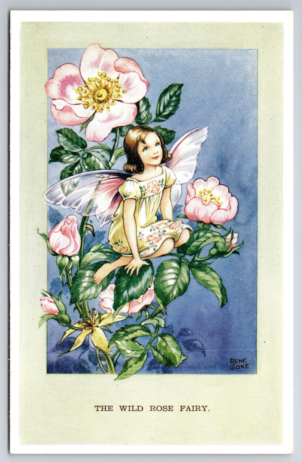 Postcard Artist Signed Rene Cloke, The Wild Rose Fairy