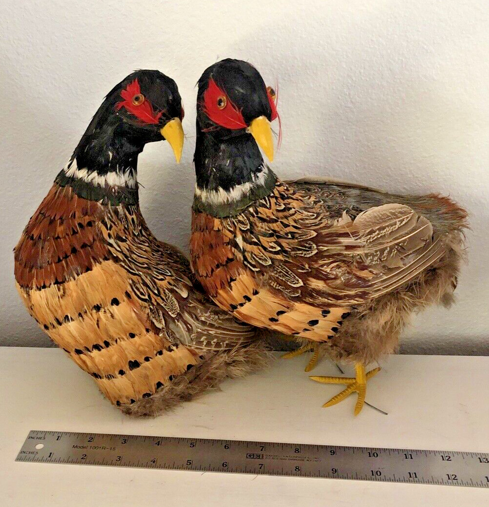 VTG Pair Pheasant Birds Figure Real Feathers Foam Body Man Cave Sportsman Decor