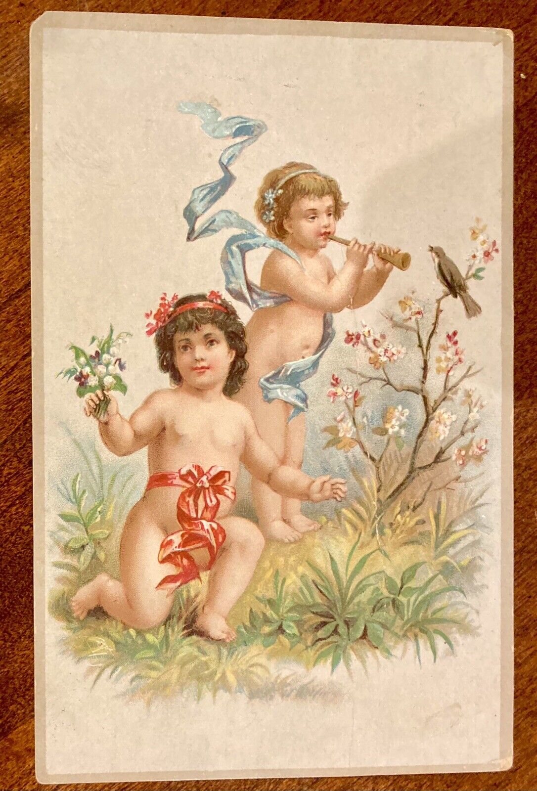 Antique Victorian Valentine Postcard  ~ No Handwriting ~ Cherubs