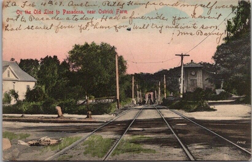 1907 PASADENA, CA HAND-COLORED Postcard 