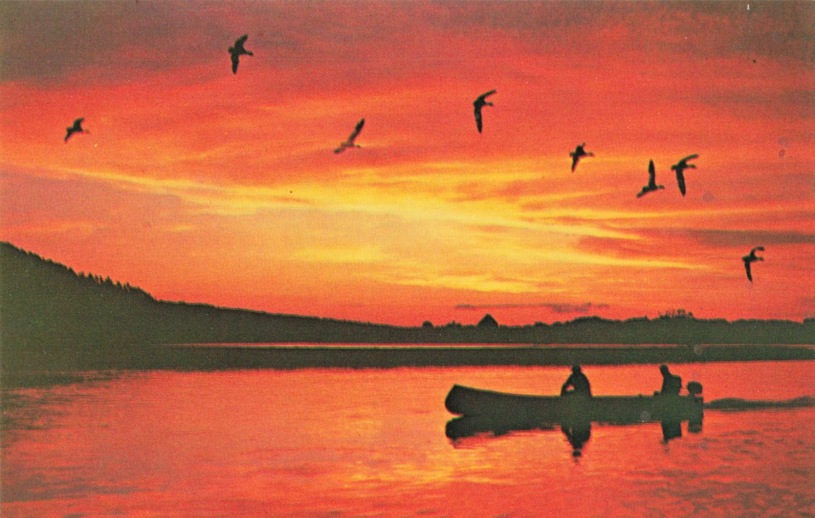 Tenants Harbor ME Maine, Beautiful Sunrise Canoe Birds Flying, Vintage Postcard