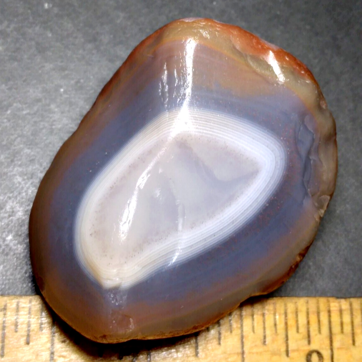 Lake Superior Agate 1.59 oz 'MULTI COLORED FORTIFIED CHALCEDONY' Rough Gemstone