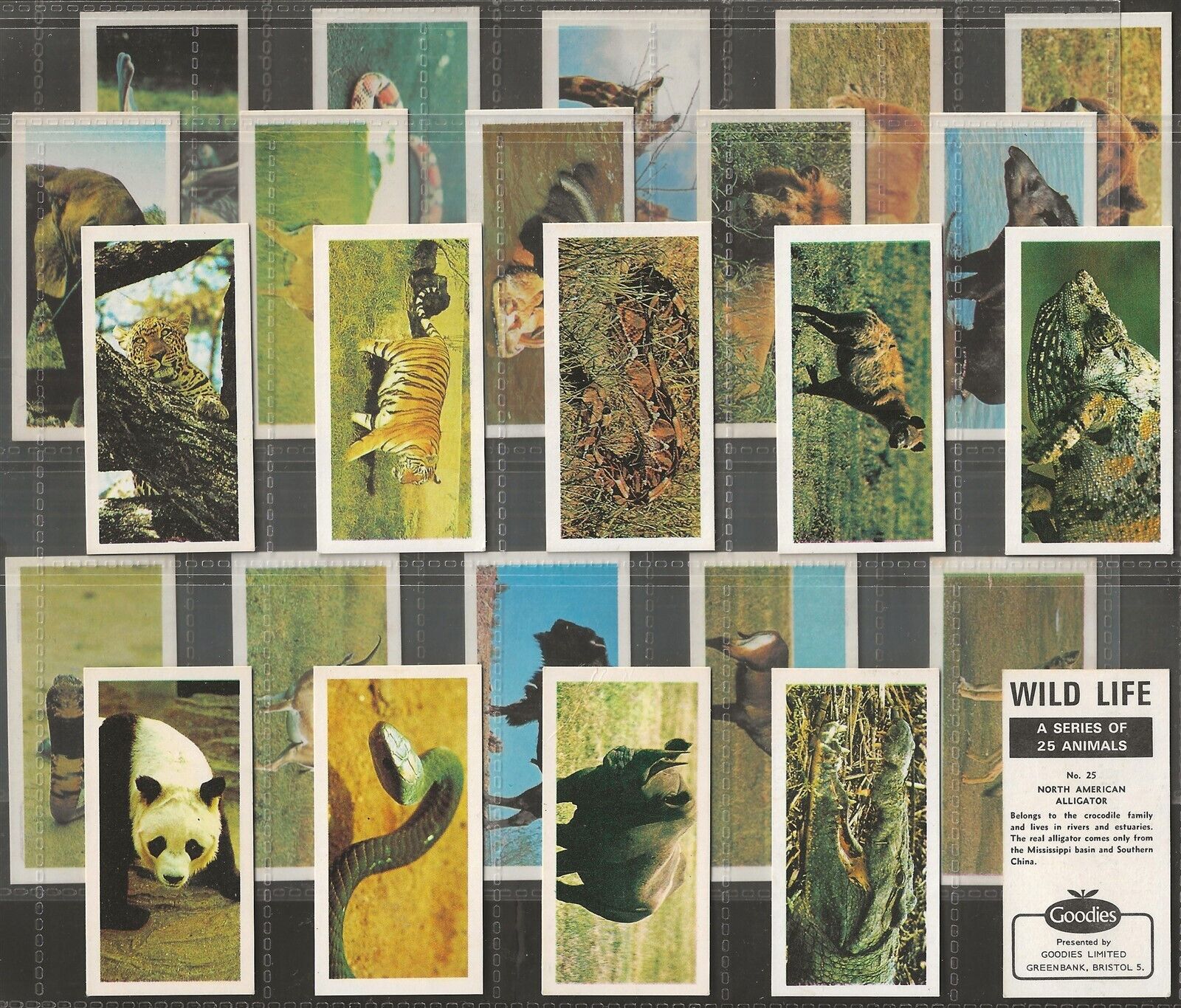 GOODIES-FULL SET- WILD LIFE 1977 (25 CARDS) EXCELLENT