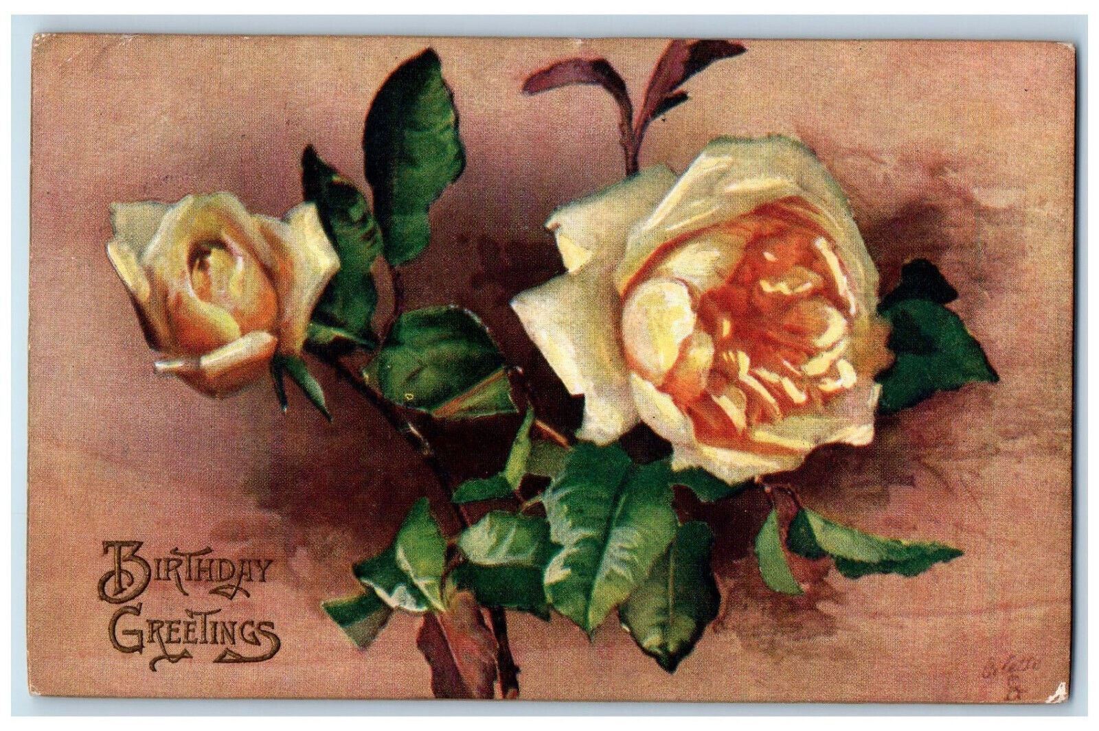 1911 Yellow Flower Birthday Greetings Christchurch Oilette Tuck Art Postcard