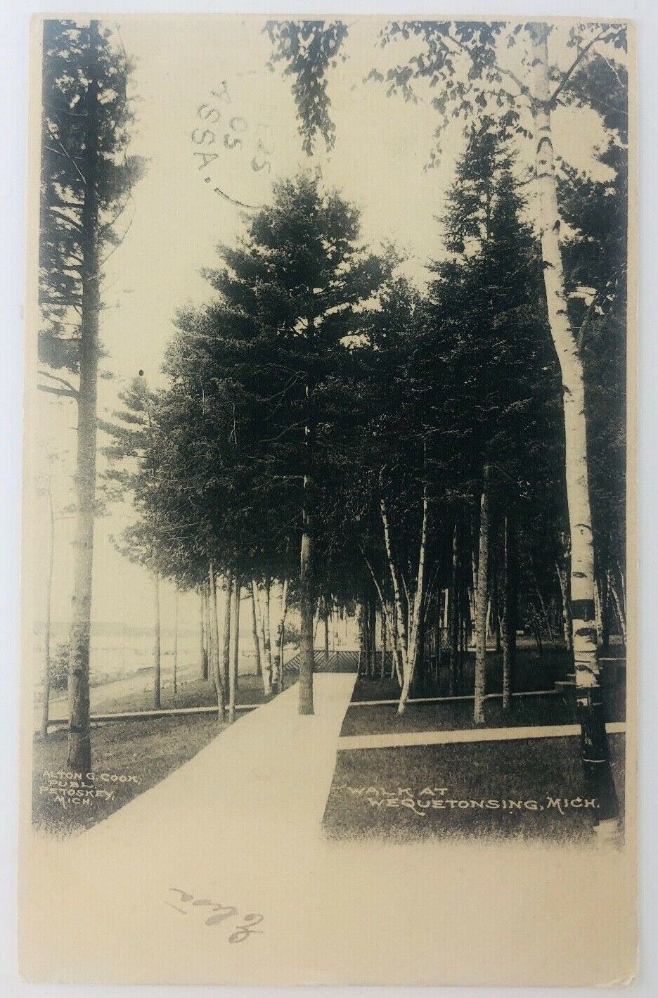 Vintage Wesquetonsing Michigan MI RPPC Sidewalk in Wesquetonsing Postcard 1905