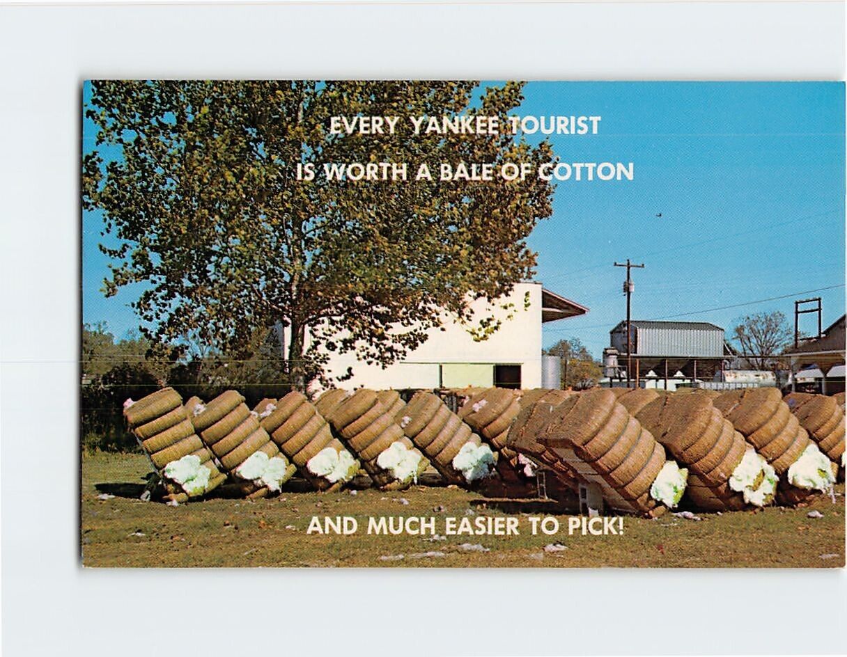 Postcard Every Yankee Tourist is Worth a Bale of Cotton Greetings from Dixie USA