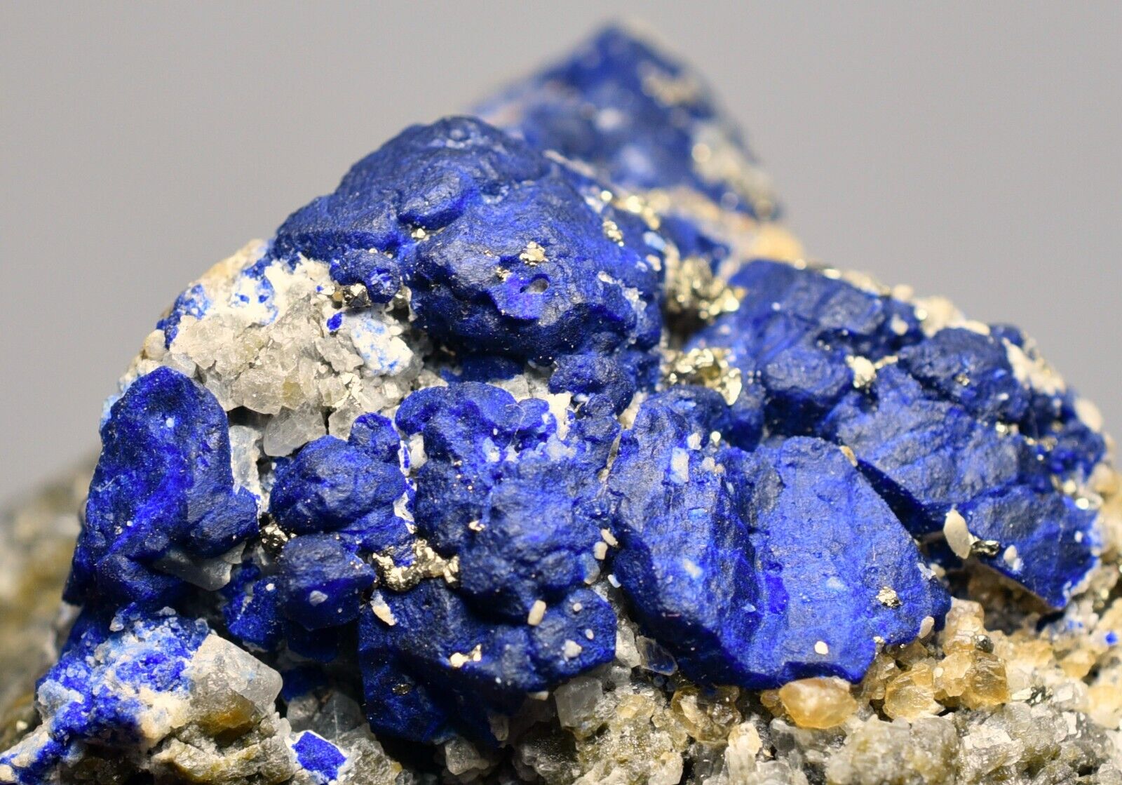 441 GM Mesmerising Blue Lazurite-Phlogopite-Pyrite Crystals On Matrix Specimen