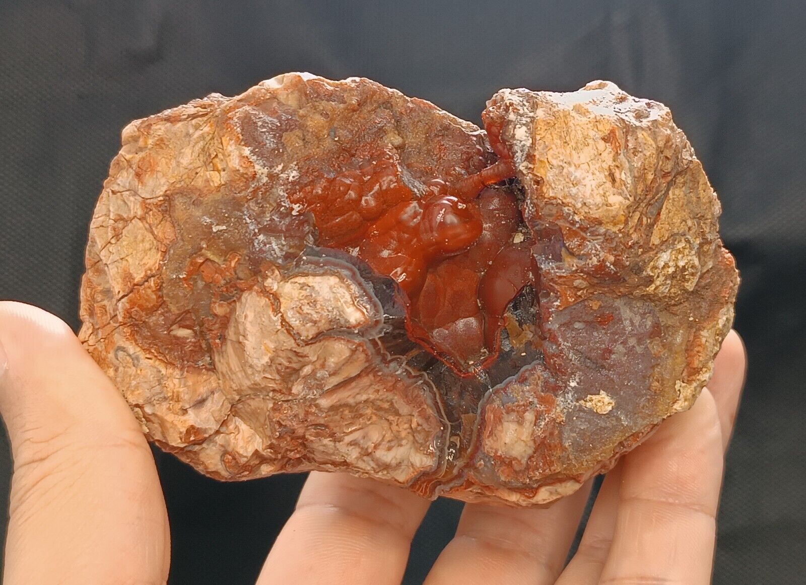 495g/1.09 lb uncut turkish banded agate stone rough,gemstone,rock,specimen