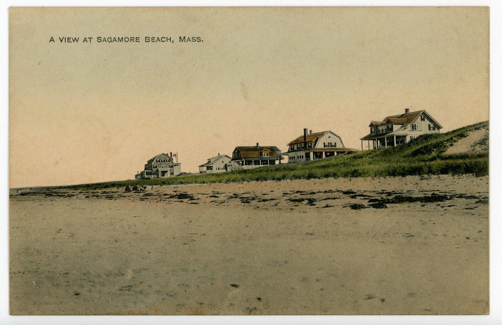 Sagamore Beach MA Postcard A View at Sagamore Beach Cape Cod Adams Pharmacy