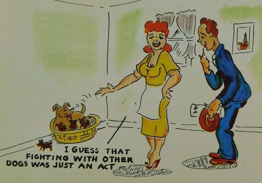 I Guess That Fighting With Other Dogs Was An Act Comic Chrome Vintage Postcard