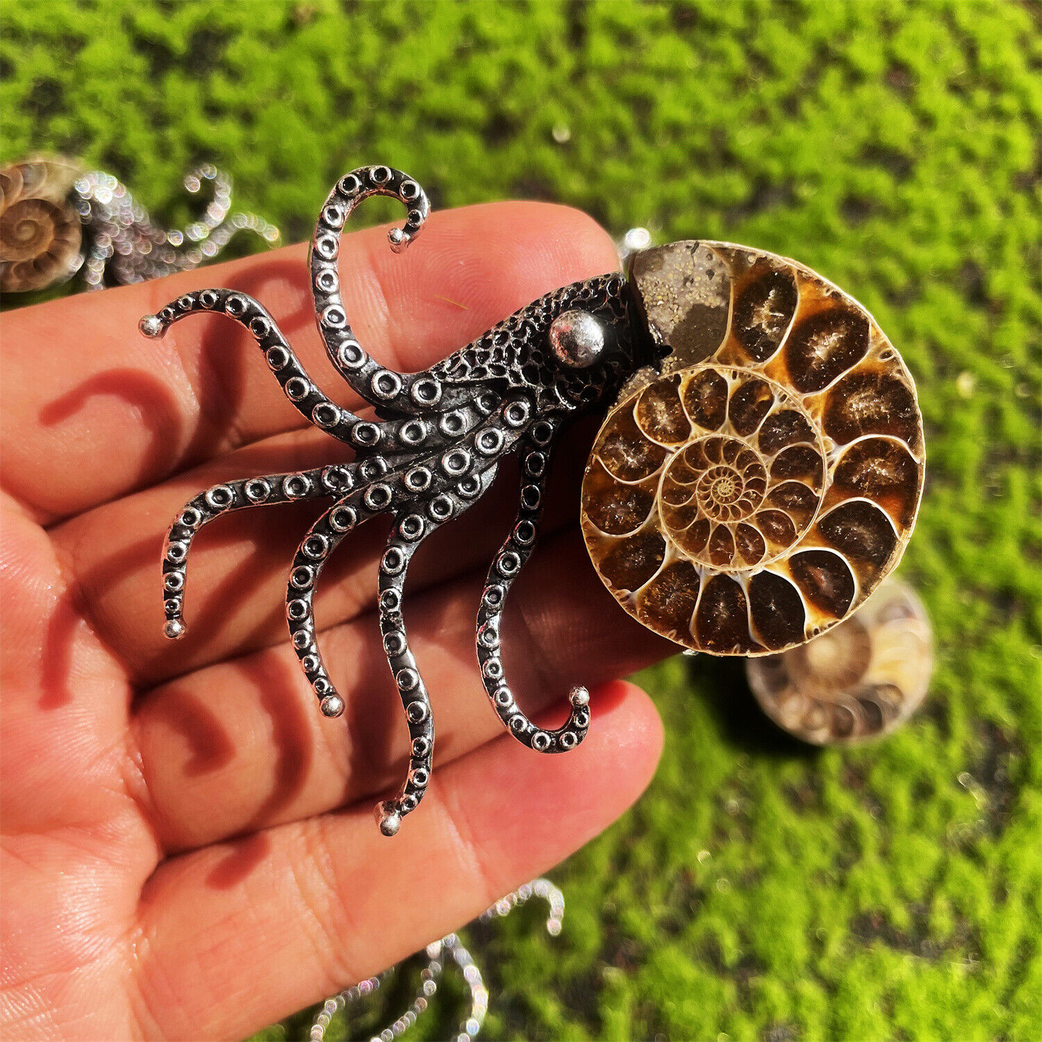 1pc Natural Ammonite Fossil Conch Specimen Healing brooch 