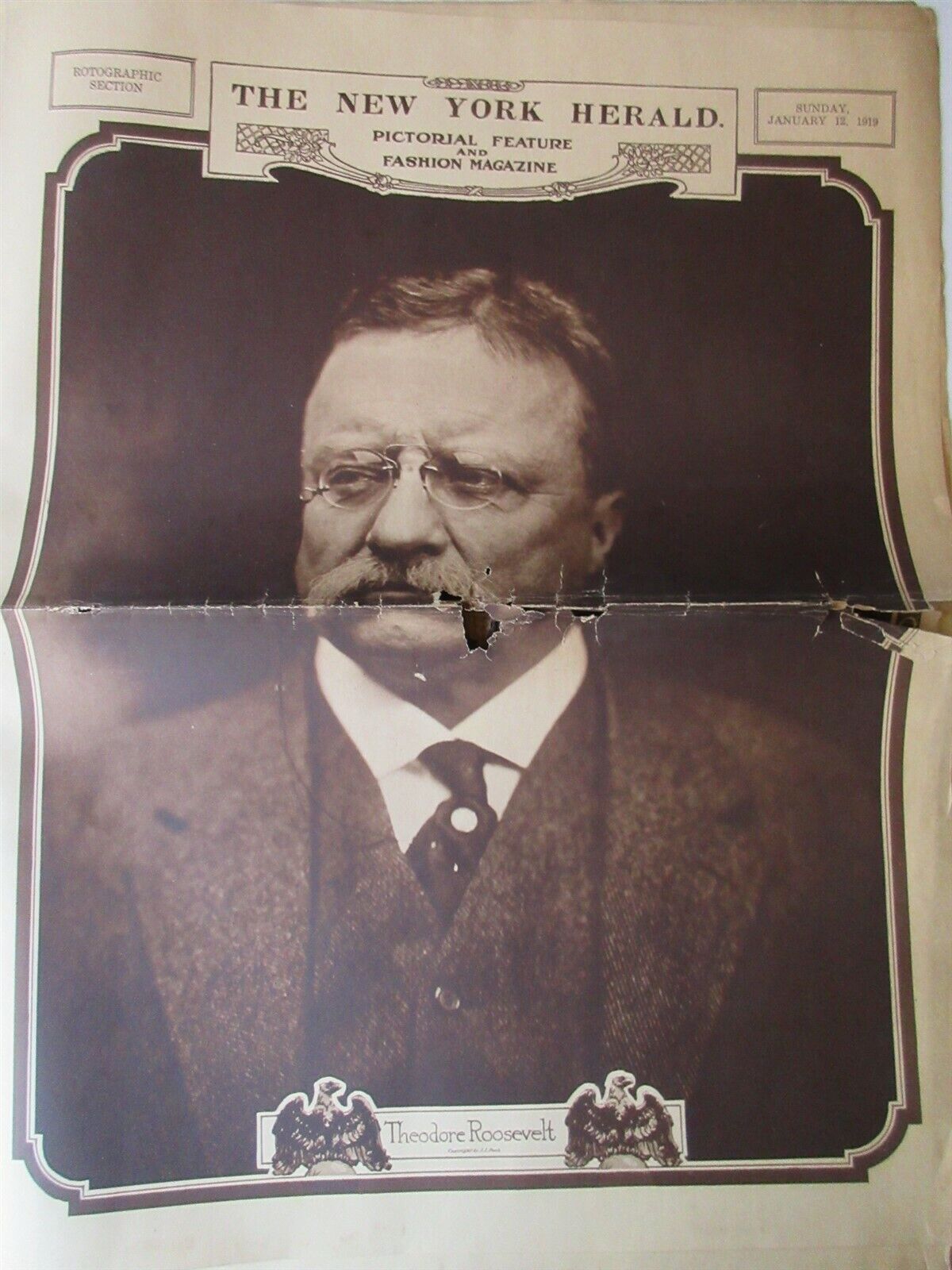 New York Herald Jan 12, 1919 Theodore Roosevelt, Fashion, Frost on Fleet