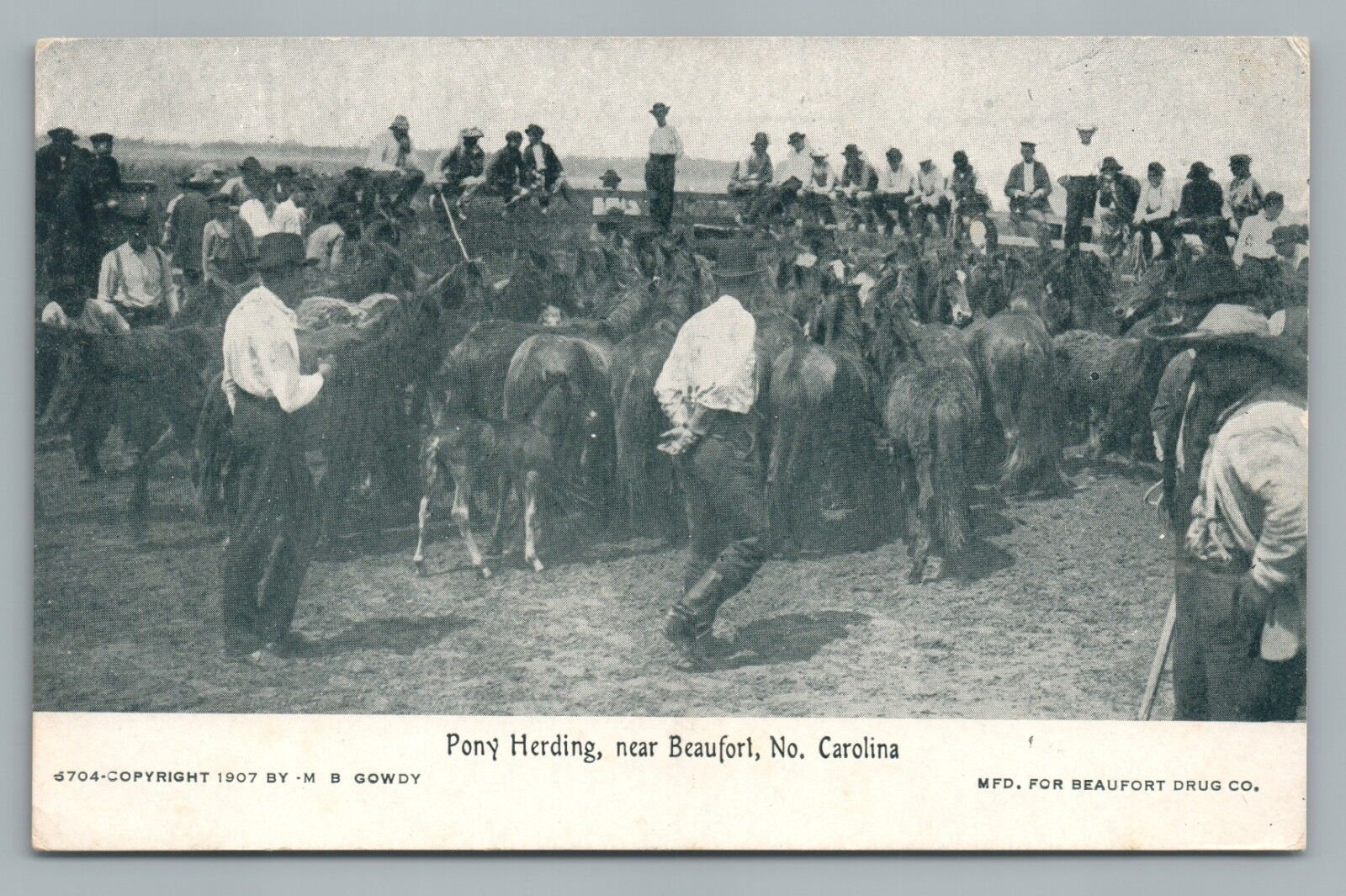 Pony Herding BEAUFORT North Carolina—Rare Antique UDB Horse Postcard 1907