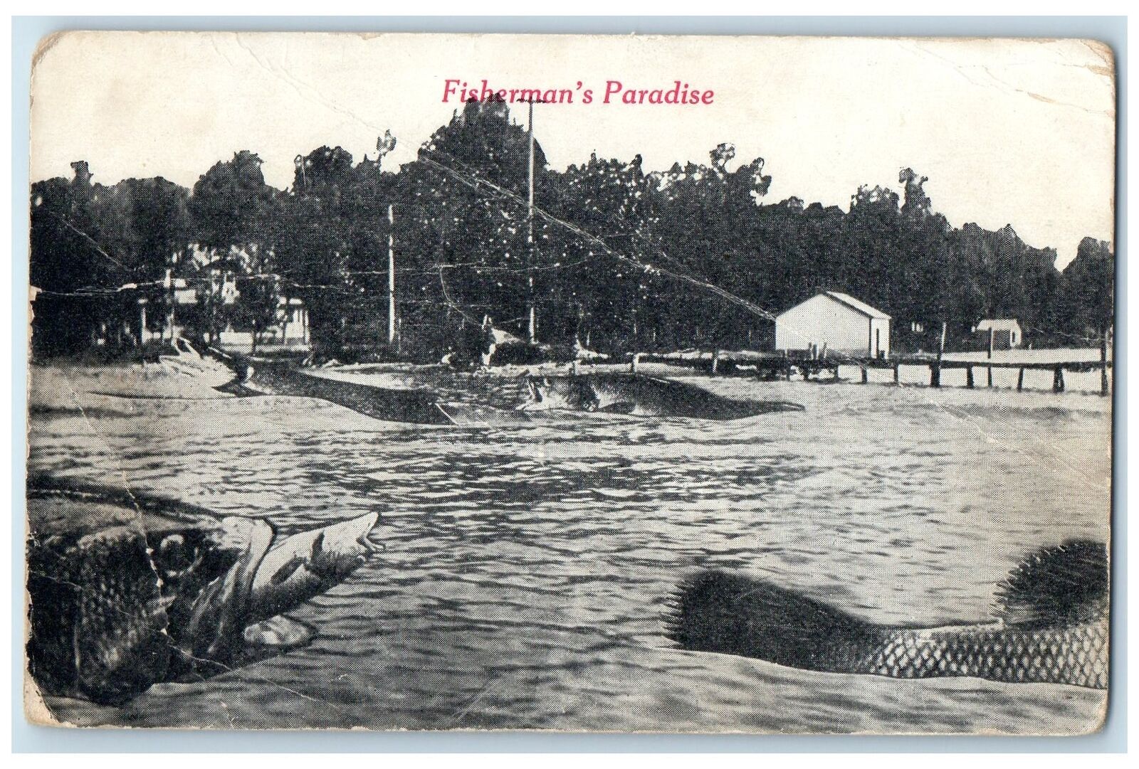 1917 Fisherman\'s Paradise Exaggerated Fish Swimming Violet Nebraska NE Postcard