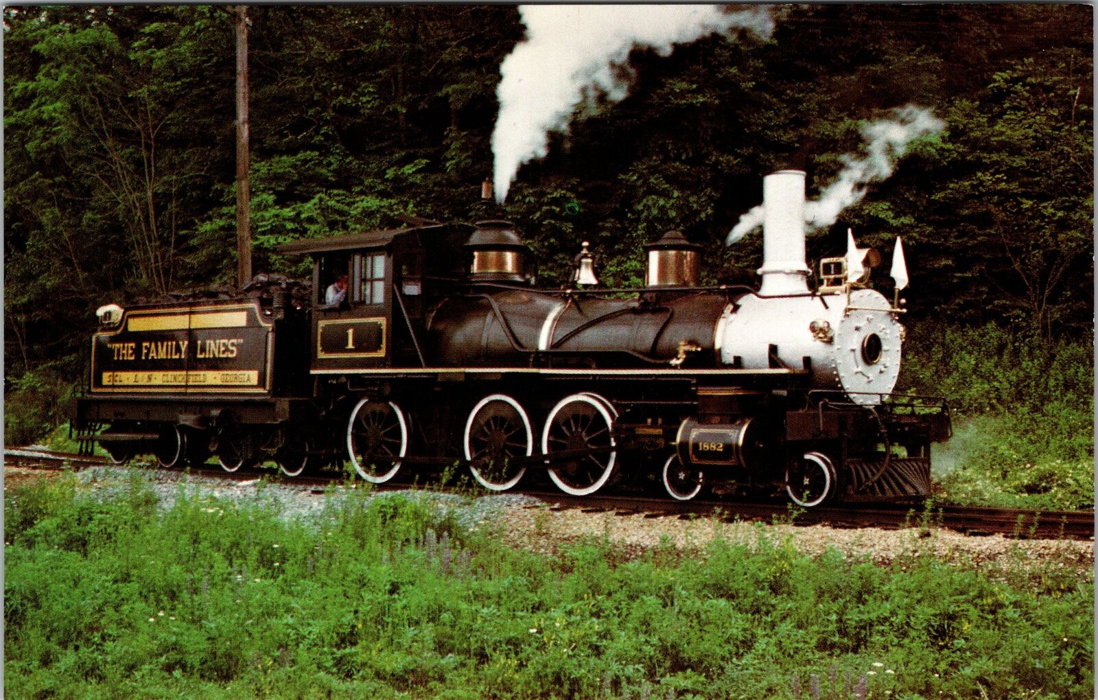 Alta pass NC-North Carolina, Clinchfield Railroad Train Vintage Postcard
