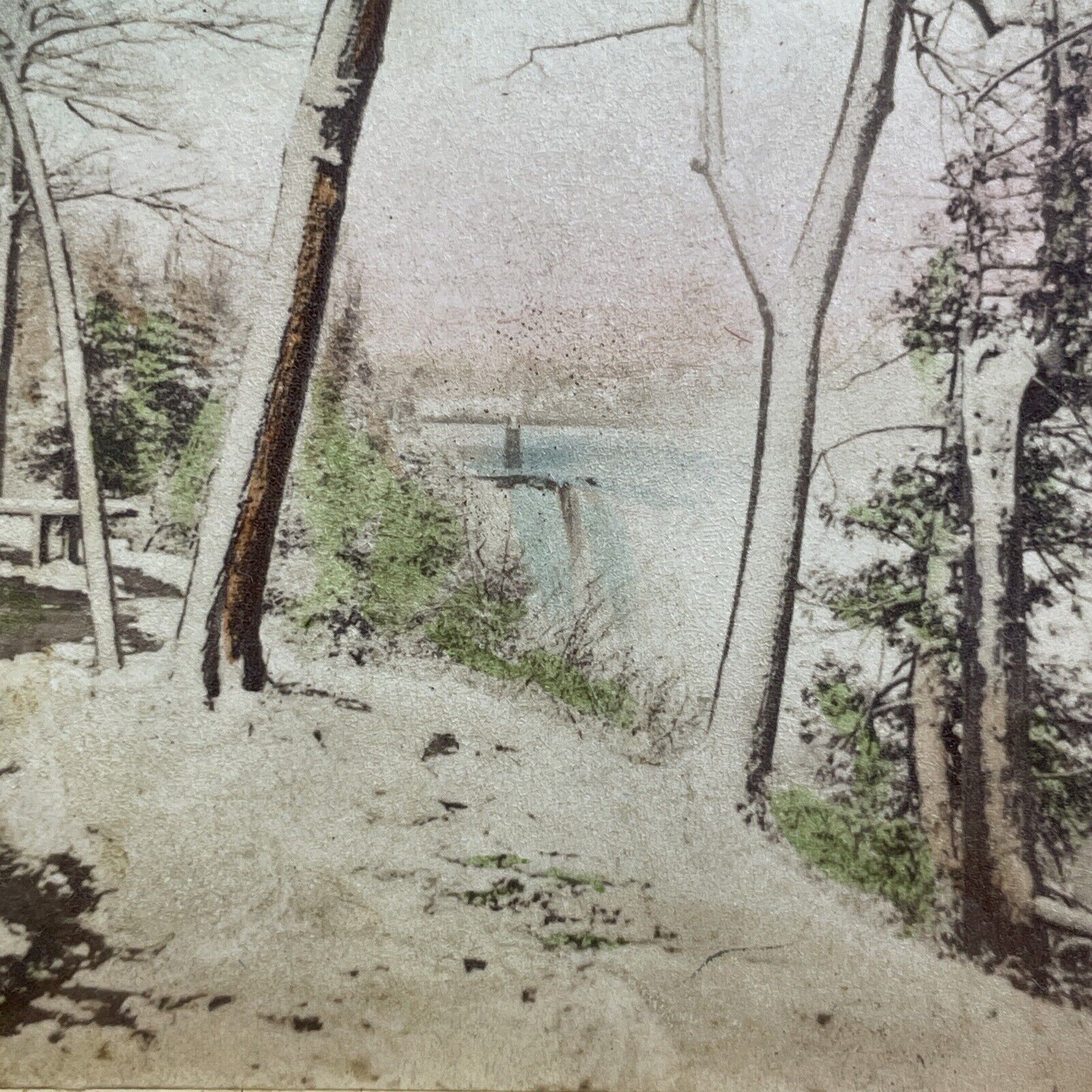 Antique c1859 Niagara Falls Gorge Trail New York Stereoview Photo Card V471