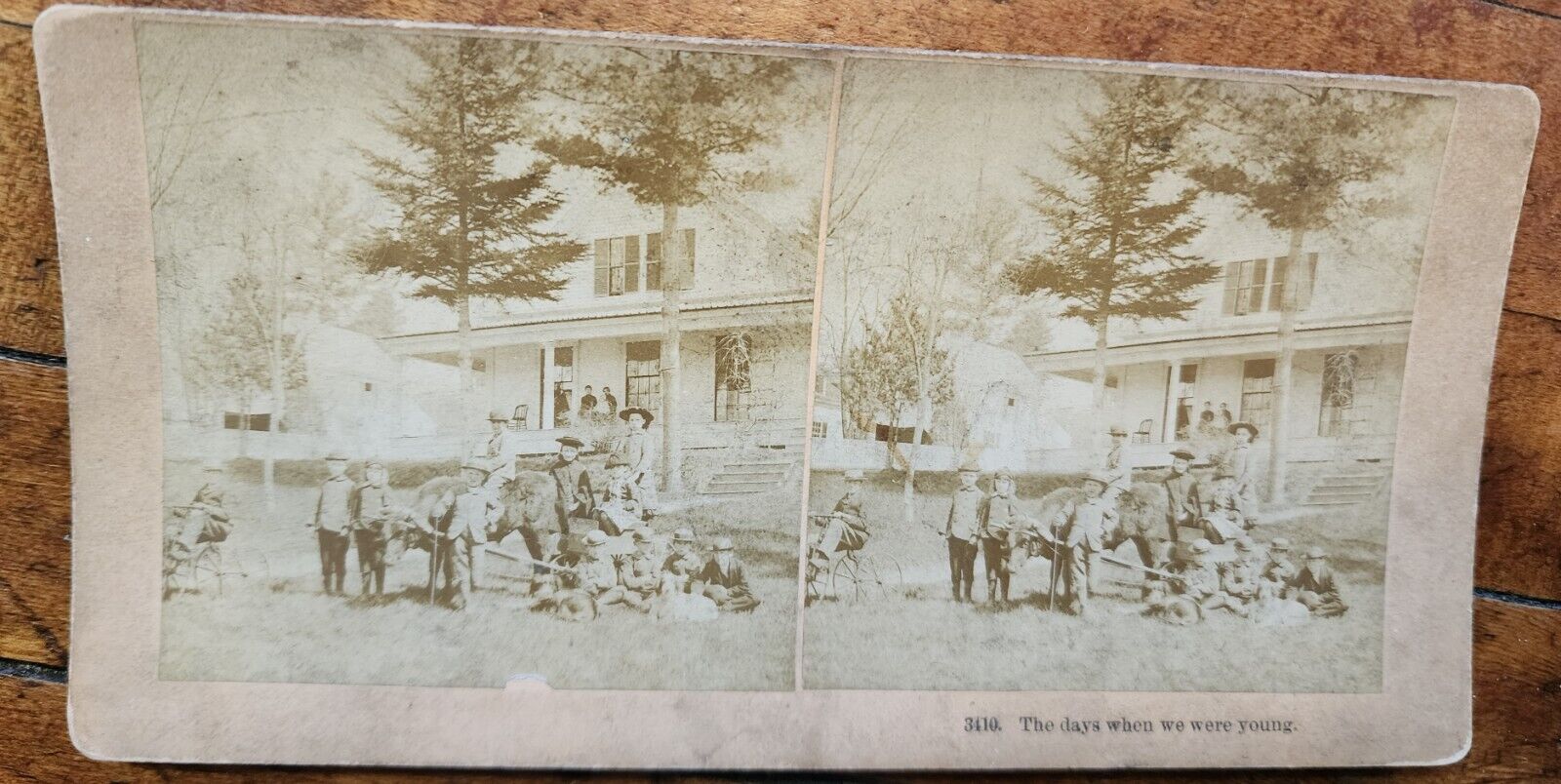 Antique Kilburn Stereoview Card Children w Dog Bull Tricycle House