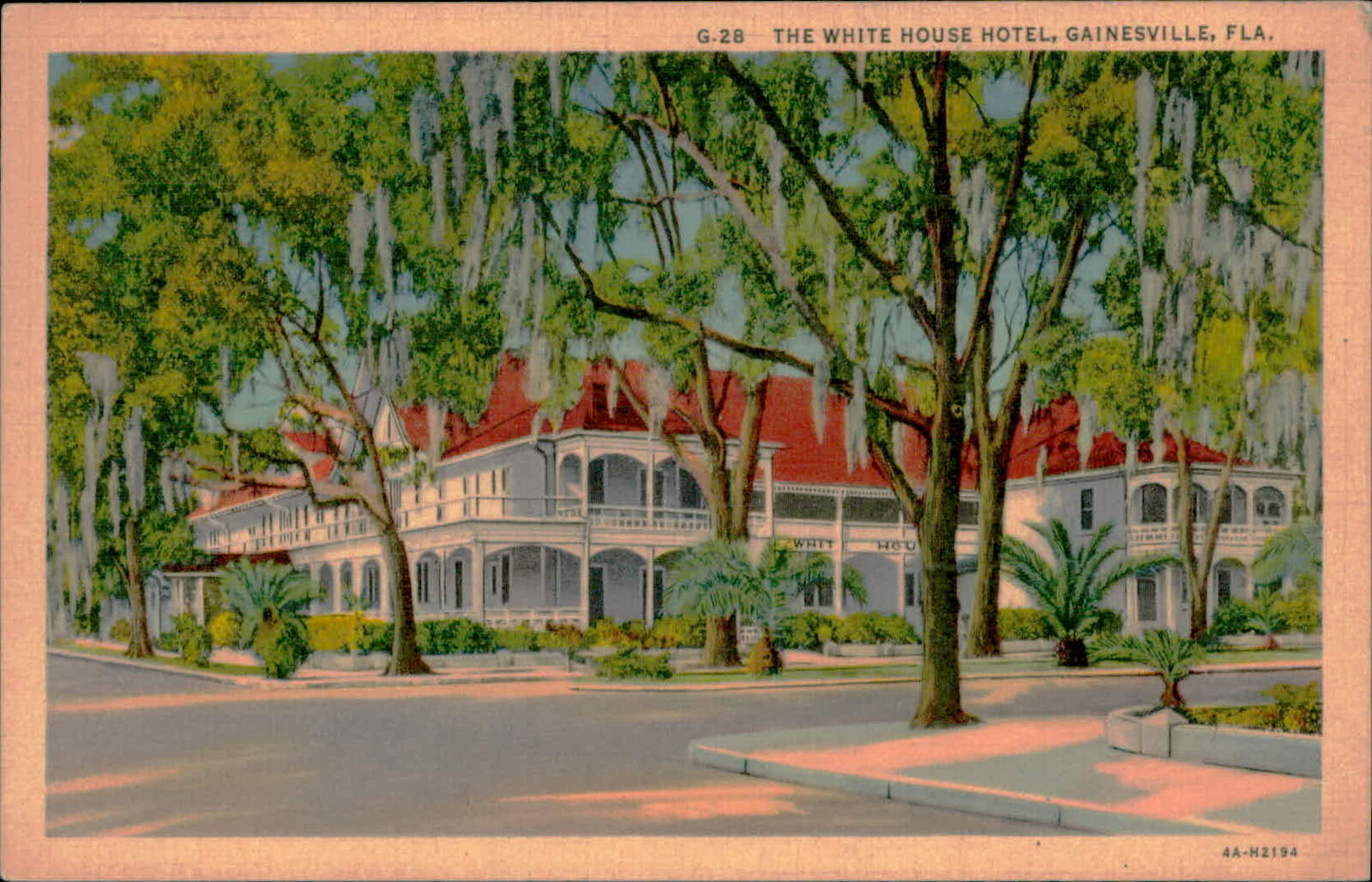 Postcard: G.28 THE WHITE HOUSE HOTEL, GAINESVILLE, FLA. WHIT 262 4A-H2