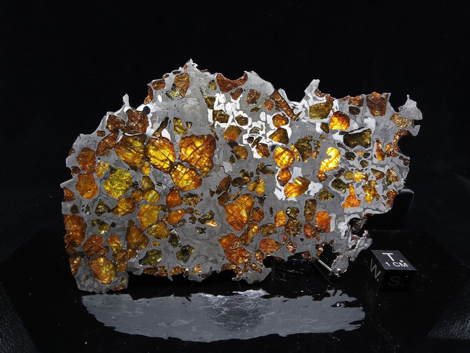 Meteorite Pallasite Imilac 92.35g Amazing Crystal Olivine Etched Slice