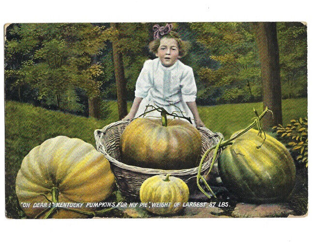 c1910 Kentucky Pumpkins For My Pie Huge 87lbs Cute Girl Kraemer Art Postcard