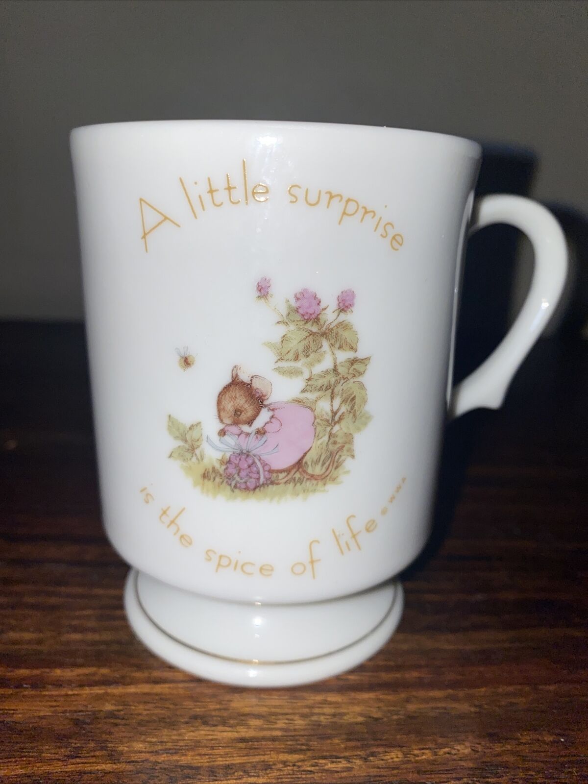 Vintage 1974 Tiny Talk Porcelain Mug-A Little Surprise Is The Spice Of Life