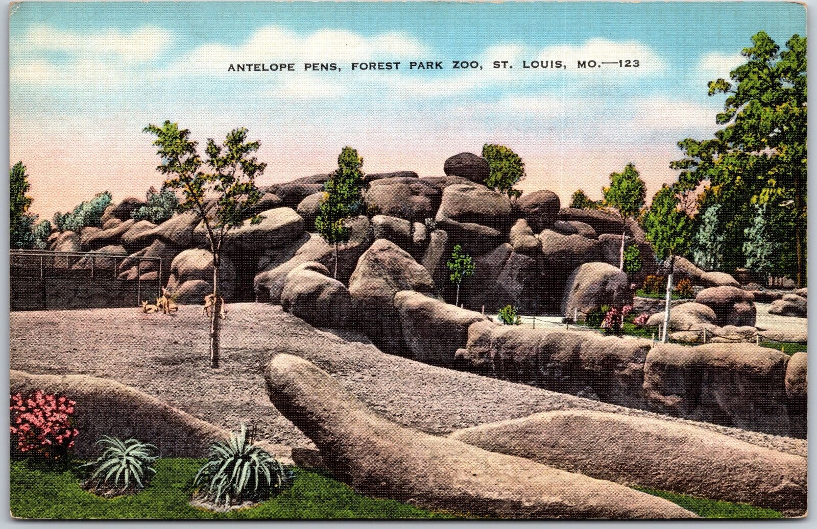 St. Louis Missouri MO, Antelope Pens, Largest Forest Park Zoo, Vintage Postcard