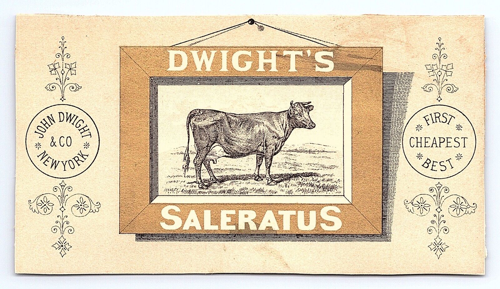 Victorian Trade Card Dwight\'s Saleratus John Dwight Co New York City NY