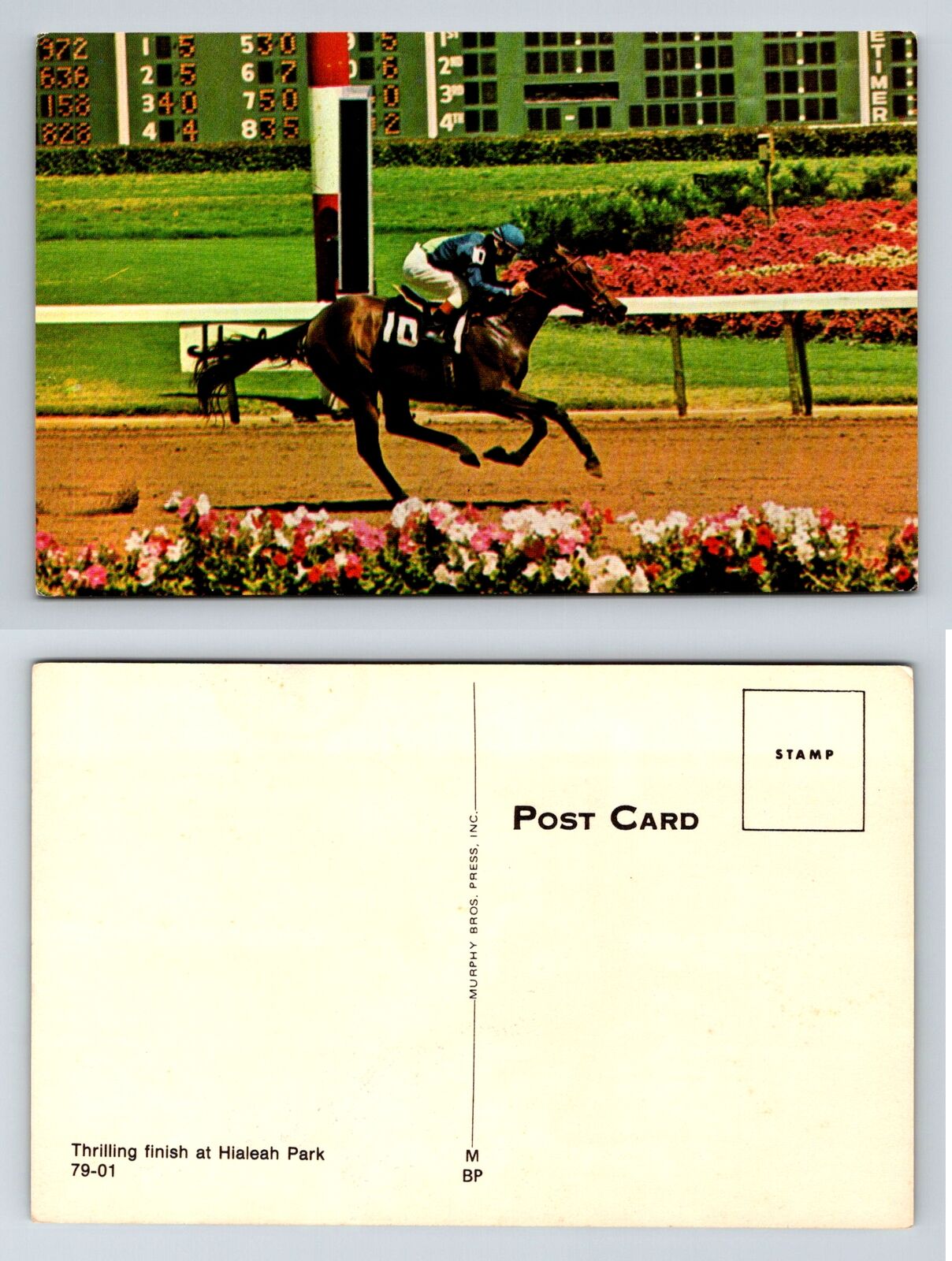 Thrilling Horse Race Finish Hialeah Park FL Postcard 1970s Chrome Murphy Bros