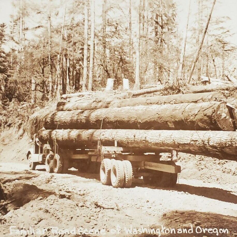Pacific Northwest Logging Truck RPPC Postcard 1950s Washington Oregon Road B725