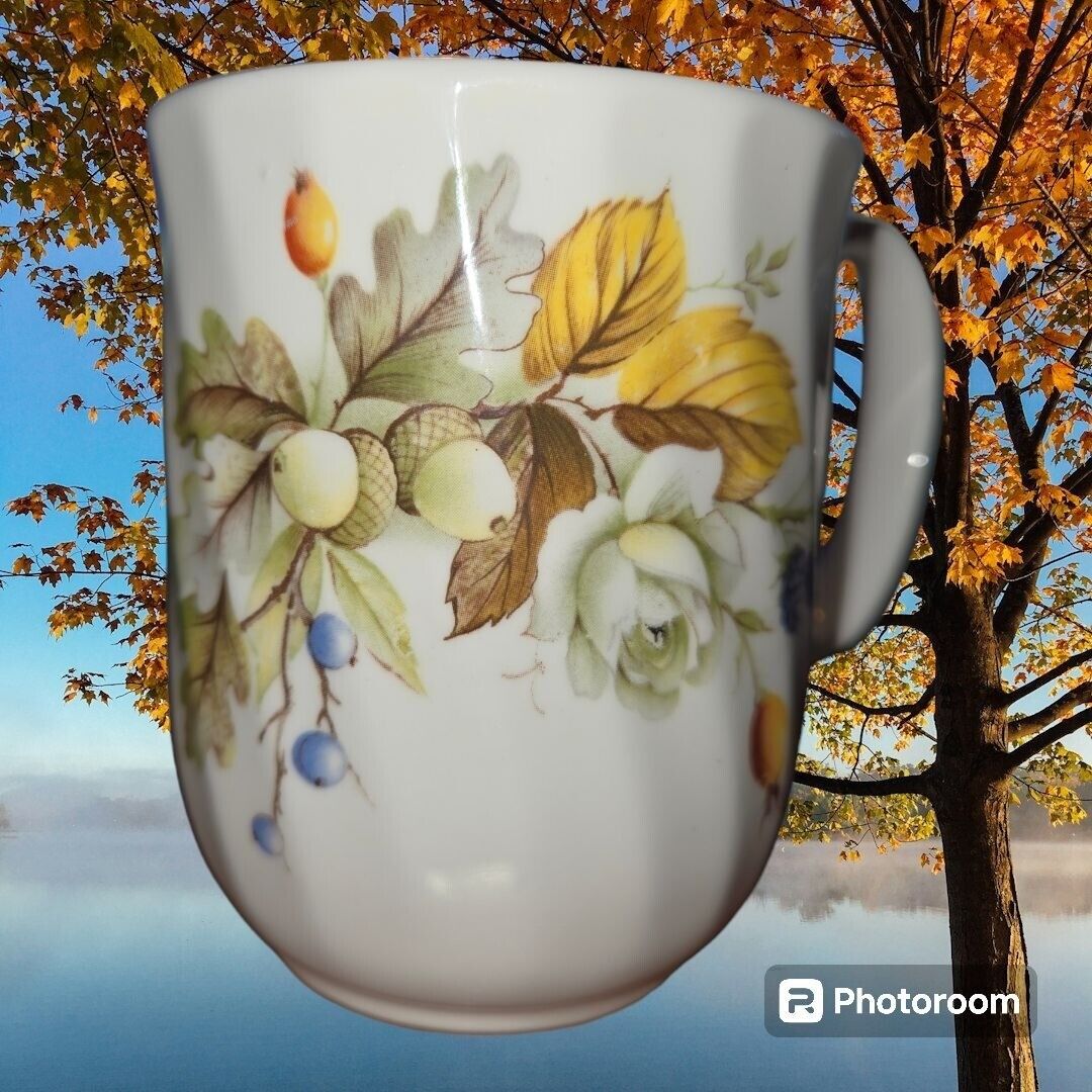 Duchess Bone China Coffee Mug Autumn Pattern England 410