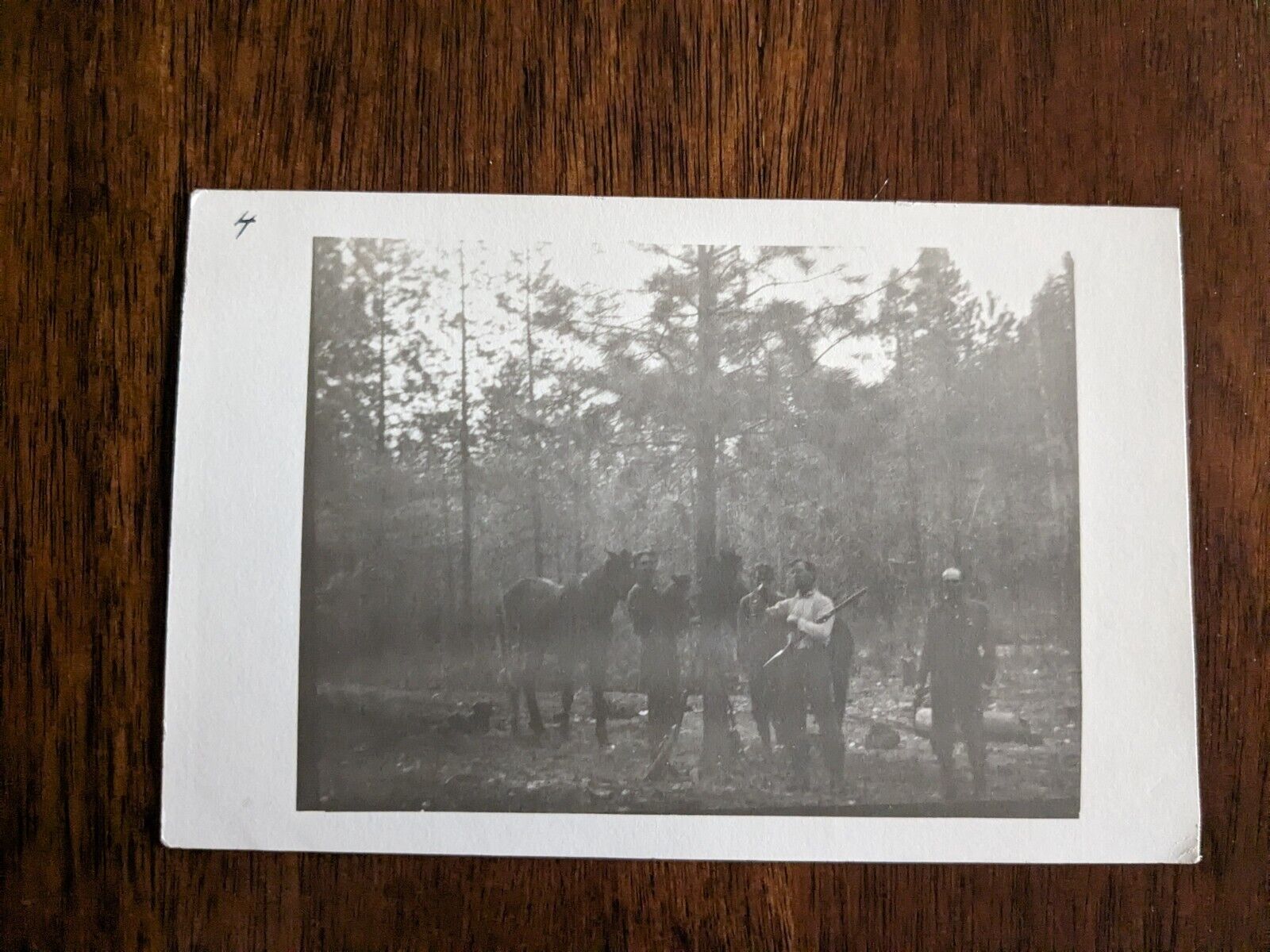 Vintage RPPC Postcard Horses In The Woods Men Posing With Gun P4