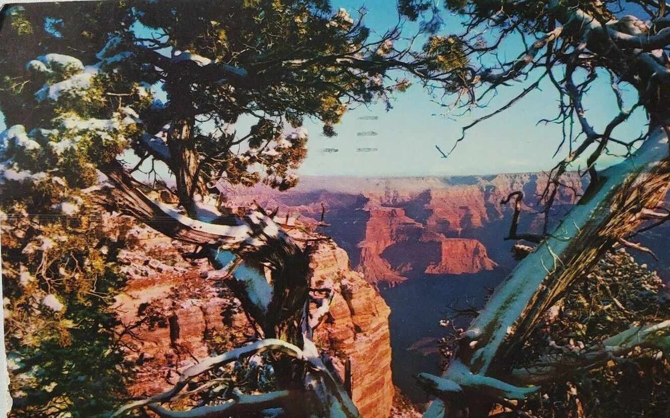 Snow Grand Canyon National Park AZ Postcard Landscape Posted 1970 