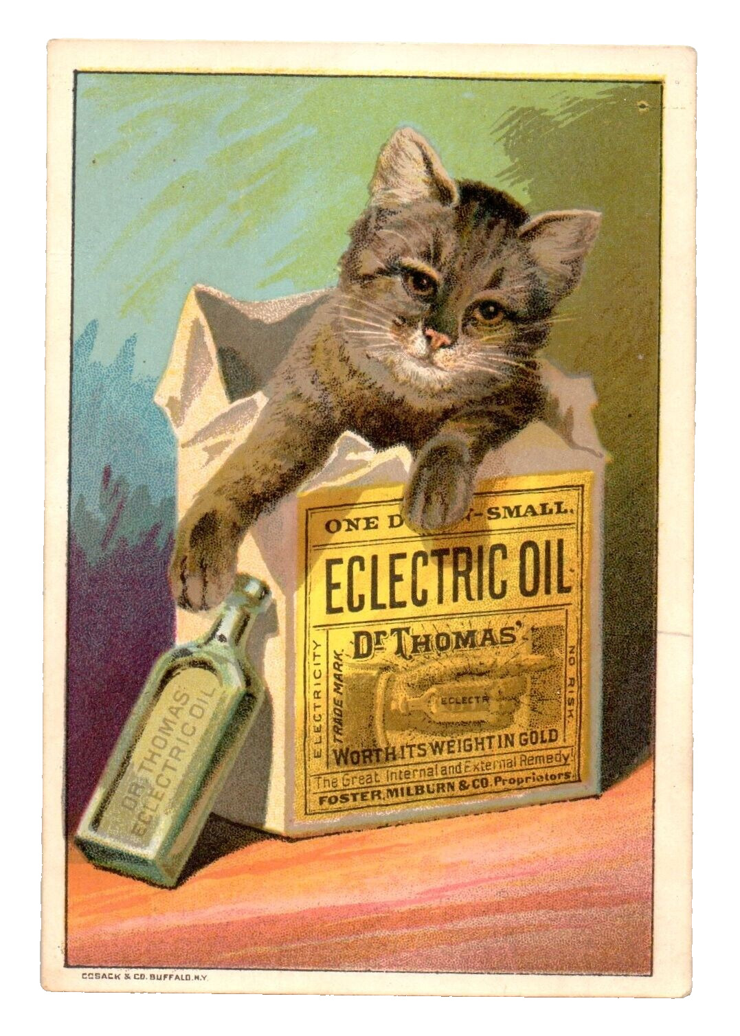 c1880 Dr. Thomas Eclectric Oil Trade Card Cute Cat Kitten Bottle Box Gardiner ME