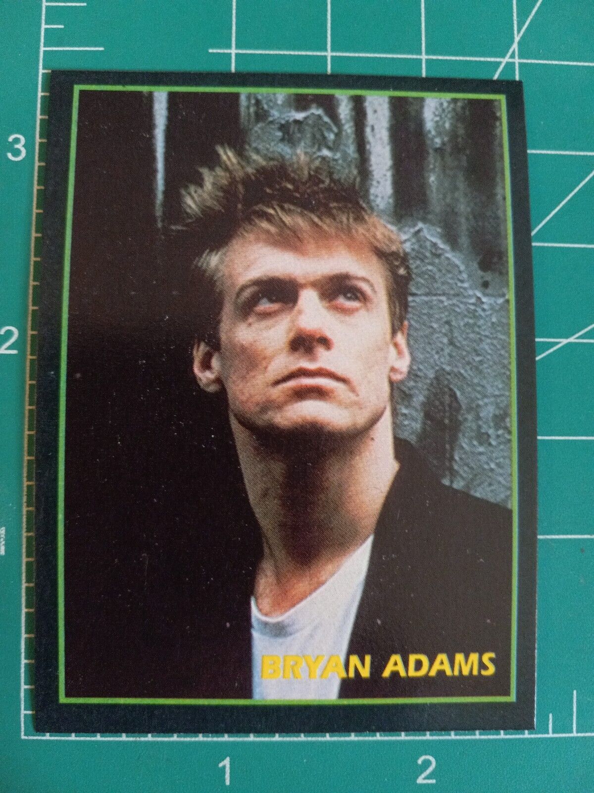 1994 BRYAN ADAMS FIGUS International Rock Cards Card POP MUSIC ARGENTINA