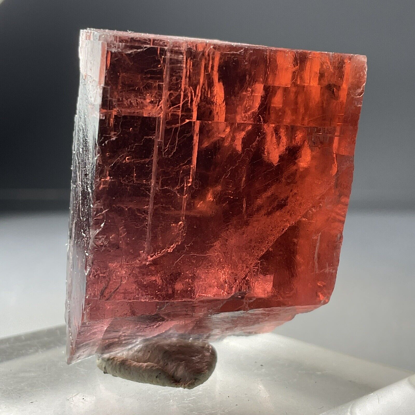 SS Rocks - Villiaumite Crystal (Khibiny Massif, Murmansk Oblast, Russia) 31g